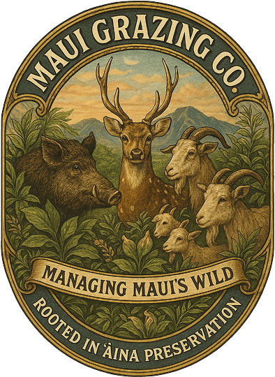 banner logo